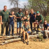 Volunteer team work poisoning a small jointed prickly pear