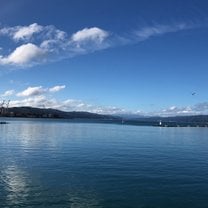 Wellington Harbor 