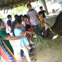 School Farm 