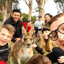 Sage Corps Melbourne cohort befriends a Kangaroo