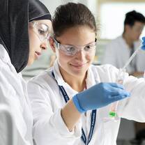 Bucksmore Education Summer Schools
