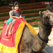 Zoo on campus