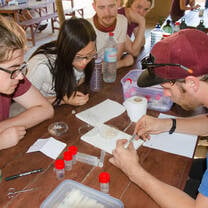 Invertebrate sorting in Mariarano camp, Madagascar with Operation Wallacea
