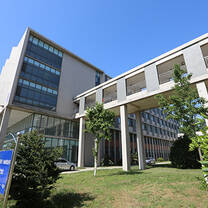 ludong university