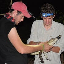 Herpetofauna surveys in the Calakmul Biosphere Reserve, Mexico