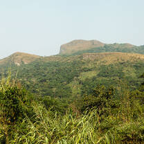 Ghana Nature
