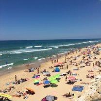 Busy day at the beach!