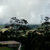 The building site of the eco lodge at a misty morning