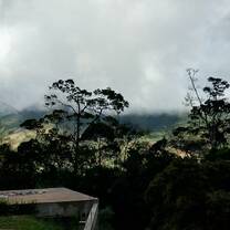 The building site of the eco lodge at a misty morning