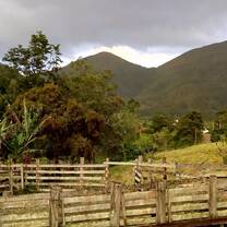 The view from our guest stay