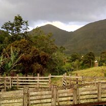 The view from our guest stay