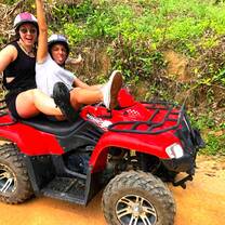 ATVs