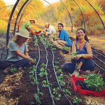 Sustainable agriculture at our community garden 