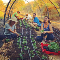 Sustainable agriculture at our community garden 