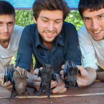 Small mammal surveys in Guyana with Operation Wallacea