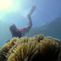Marine surveys at Nosey Be Island, Madagascar
