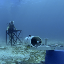 Marine surveys at Nosey Be Island, Madagascar