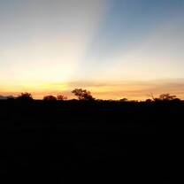 African sunset 