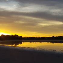 Volunteering Brazil pantanal
