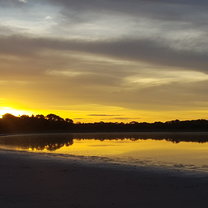 Volunteering Brazil pantanal