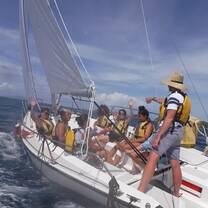 Small Boat Sailing