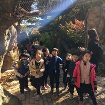 Vienna Class (my kindergarten kids) at Daegu's Nature Park
