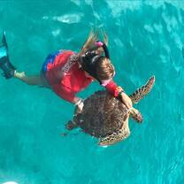 Turtle Tagging