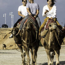 study abroad uni students spain seville