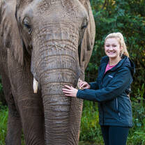 Walk with elephants.