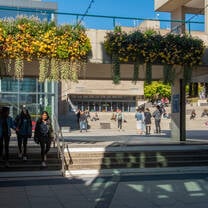 UEA campus square