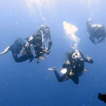 Diving with your friends is unforgettable, especially when you grow so close that you now call them family 