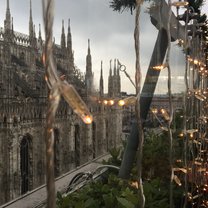 My favorite picture of my trip to Milan.