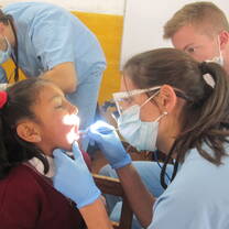 Dental program