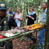 fruit testing