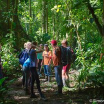 Explaining some special tree structure on the boarderline to Los Guardianes Wildlife Refuge