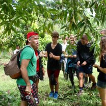 Farmfruits where they from, how they grow and much more