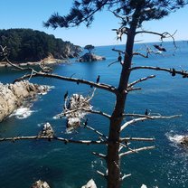 Caleta Lenga