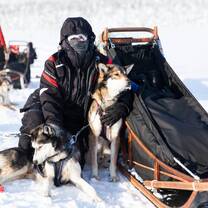 Gap Year Husky Farm Placements