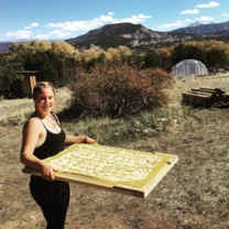 Dehydrating apples with our solar dehydrator