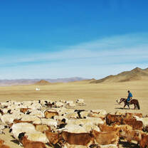 Man on a horse in Mongolia