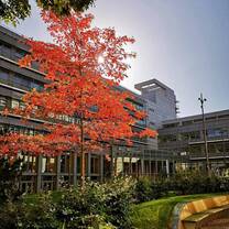 Courtyard Gardens