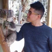 Met a Koala 