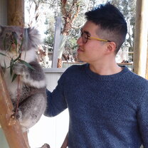 Koala Met a Koala
