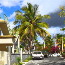 Financial Accounting Internship in Mauritius 