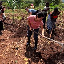 Planting Beans