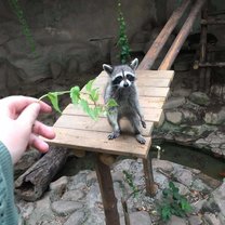 My little friend