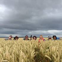 Trek 2015 - Northumberland Coast 