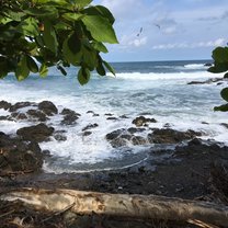 Gorgeous Montezuma