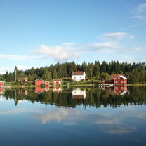 Finland Nature