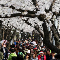 Volunteer Abroad in South Korea